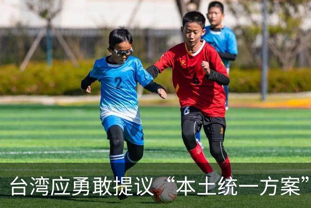 台湾应勇敢提议“本土统一方案”，以应对日益严峻的两岸形势
